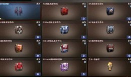 cs2战队最新爆料视频,揭秘战队神秘训练与精彩对决